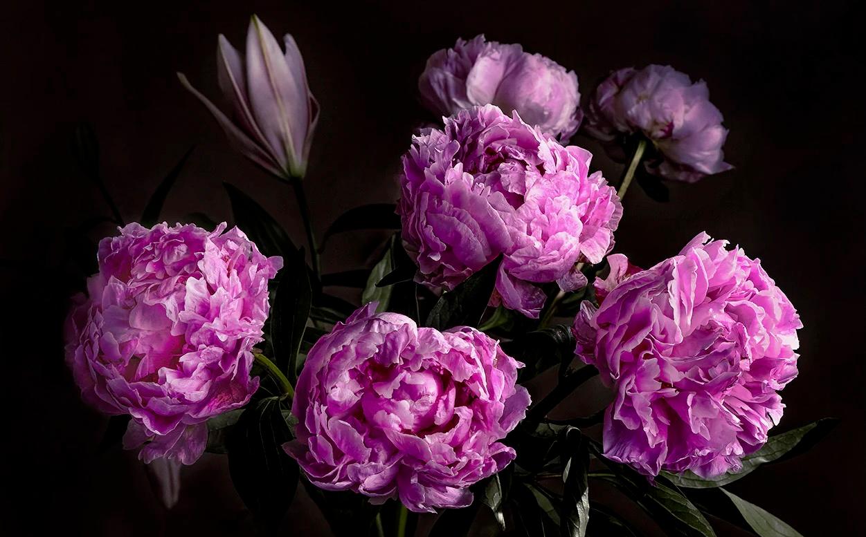Bloom from Within